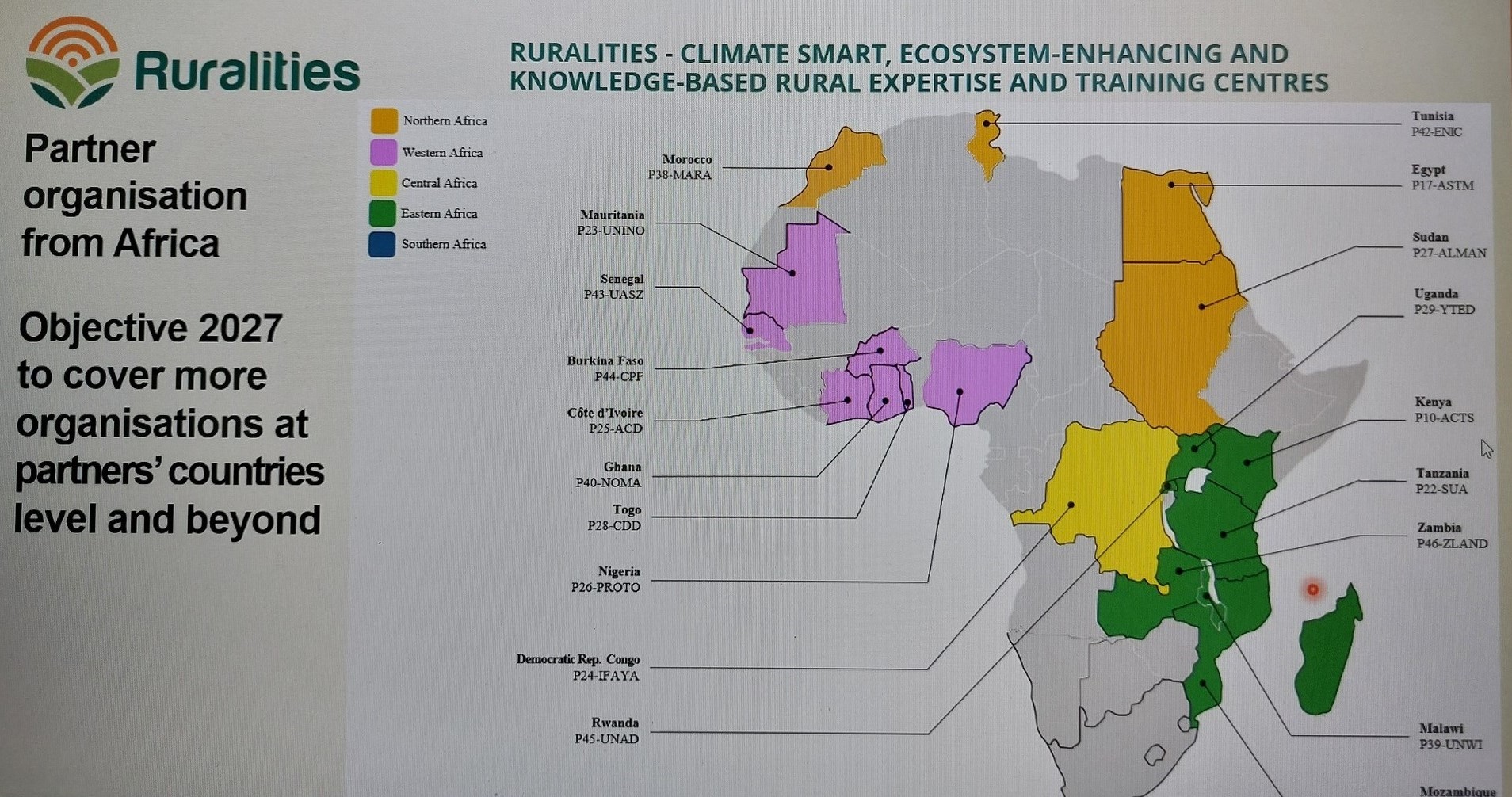 African Union Partners in the Ruralities Project Webinar